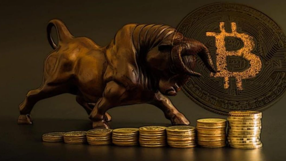 bear run crypto meaning